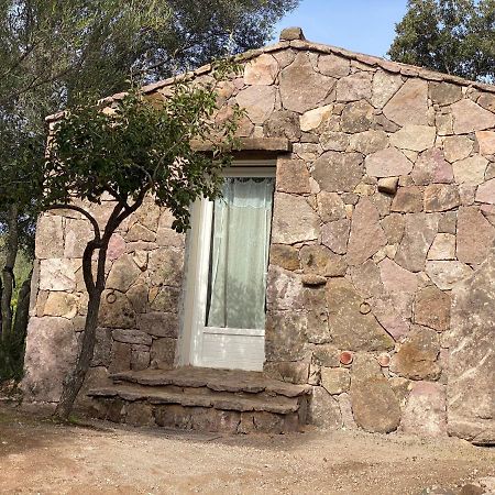 Sartène U Caseddu المظهر الخارجي الصورة